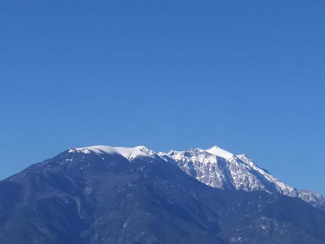 Apartmani Dedalus Paralía Dış mekan fotoğraf